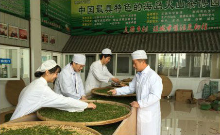 浙江大学汤一教授亲自带团队来火山茶基地支持火山红茶研发。